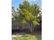 A well-maintained backyard showcases a mature tree and privacy fence at 12546 Britwell Ct, Orlando, FL 32837