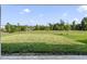 Lush backyard featuring a scenic view of a lake at 17394 Million Lakes Ct, Clermont, FL 34714