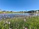 Community pond featuring wildflowers in the foreground at 2107 Cartgate Ln, Winter Haven, FL 33884