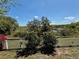 Picturesque backyard view with a white picket fence overlooking a serene lake at 607 Black Eagle Dr, Groveland, FL 34736