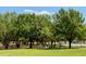 A large park features a sprawling green lawn and trees in this community at 607 Black Eagle Dr, Groveland, FL 34736