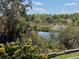 Scenic view of a pond surrounded by lush greenery and trees at 607 Black Eagle Dr, Groveland, FL 34736