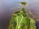 Aerial view of a serene island with walking trails and lush greenery on the lake at 10303 Atwater Bay Dr, Winter Garden, FL 34787