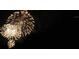 A vibrant display of fireworks against the night sky at 10303 Atwater Bay Dr, Winter Garden, FL 34787