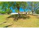 Landscaped front yard with mature trees and a lush lawn, creating a serene and inviting atmosphere at 15733 Switch Cane St, Clermont, FL 34711