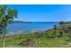 Panoramic lake view with lush vegetation and clear blue skies at 16752 Caravaggio Loop, Montverde, FL 34756