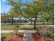 Scenic front yard view with mature trees and a tranquil neighborhood pond in the background at 6475 New Independence Pkwy, Winter Garden, FL 34787