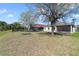 View of the expansive backyard with lush grass, mature trees, and a fence at the back at 13850 Mirror Lake Dr, Orlando, FL 32828