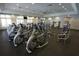 Fitness center filled with modern cardio machines and free weights, perfect for resident workouts and wellness activities at 18381 Oliver Twist Way, Winter Garden, FL 34787