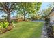 Green backyard with manicured lawn, privacy fence, mature trees, and a sparkling pool at 2952 Ashwood Ct, Apopka, FL 32703