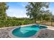 Secluded pool and hot tub surrounded by lush landscaping and privacy fencing at 7419 Gathering Ct, Reunion, FL 34747