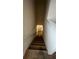 Carpeted staircase leading to the lower level at 2597 Shamrock St, Tavares, FL 32778