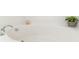 Close-up of a bathroom's elegant soaking tub with decorative accessories adding a touch of luxury at 1272 Mount Logan Dr, Apopka, FL 32712