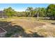 Large backyard with grass, two palm trees, landscaping, trees and a screened in pool at 133 Orange Ridge Dr, Longwood, FL 32779