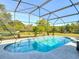 Relaxing screened in pool with clear blue water and expansive backyard views at 133 Orange Ridge Dr, Longwood, FL 32779