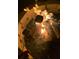 Cozy backyard fire pit with marshmallows being roasted, creating the perfect ambiance at 1795 Orange View Ct, Kissimmee, FL 34746