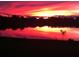 Scenic lake view at sunset with silhouetted trees and a beautiful pink sky at 330 Osprey Lakes Cir, Chuluota, FL 32766