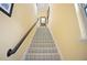 Staircase with neutral carpet, yellow walls, and a dark wood handrail at 8872 Bismarck Palm Dr, Winter Garden, FL 34787