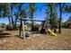 Playground with swings and a slide surrounded by trees and grass at 36649 Forestdel Dr, Eustis, FL 32736