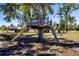 Custom backyard treehouse and swing set, surrounded by trees and grass at 36649 Forestdel Dr, Eustis, FL 32736