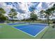 Outdoor pickleball courts, perfect for friendly matches with neighbors and staying active in the community at 908 Jade Forest Ave, Orlando, FL 32828