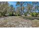 A large backyard featuring mature trees, offering privacy and space for outdoor activities and enjoyment of nature at 209 Roman Ct, Deltona, FL 32738