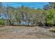 A spacious and private backyard bordered by lush trees and a tranquil lake view, offering serene natural beauty at 209 Roman Ct, Deltona, FL 32738