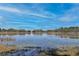 A tranquil lake view stretches to the horizon, bordered by trees under a clear blue sky, perfect for nature lovers at 209 Roman Ct, Deltona, FL 32738