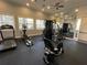 Community gym area with windows for natural lighting and exercise equipment at 2296 Sirena Ln, Mount Dora, FL 32757
