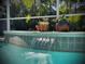 A sparkling pool with a cascading water feature and lush landscaping at 2519 Cypress Trace Cir, Orlando, FL 32825
