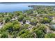 Aerial photo of a mature tree canopy near a stunning lake in a quiet residential neighborhood at 392 W Minnehaha Ave, Clermont, FL 34711