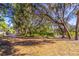 Backyard featuring mature trees, lush landscaping and a natural setting at 410 N Niblick Ln, Lake Mary, FL 32746