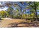 Backyard featuring mature trees and lush landscaping along the fenceline at 410 N Niblick Ln, Lake Mary, FL 32746