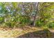 Lush, wooded backyard with large mature trees and plenty of shade at 410 N Niblick Ln, Lake Mary, FL 32746
