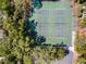 Aerial shot of outdoor tennis courts surrounded by verdant trees at 410 N Niblick Ln, Lake Mary, FL 32746