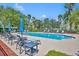 Inviting community pool with lounge chairs, palm trees, and a calming atmosphere for relaxation and leisure at 5910 Windsong Oak Dr, Leesburg, FL 34748
