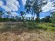 The vacant land has plenty of native trees and vegetation ready for construction at 947 Ferne Dr, Longwood, FL 32779