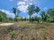 The vacant land has plenty of native trees and vegetation ready for construction at 947 Ferne Dr, Longwood, FL 32779