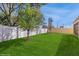 This backyard features a lush green lawn surrounded by a tall privacy fence ensuring both beauty and seclusion at 14345 Wabasso Loop, Winter Garden, FL 34787