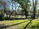 A serene backyard setting with mature trees and lush grass, offering privacy and relaxation at 1931 Clarcona Rd, Apopka, FL 32703