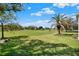 Serene view of an expansive green backyard, framed by mature trees, palm tree and neighborhood homes at 3624 Belle Rose Dr, Leesburg, FL 34748