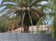 Villa Brantley entrance sign with a lush palm tree in a landscaped setting, offering a sense of tropical living at 613 Andrew St, Altamonte Springs, FL 32714