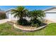 Close up of a well manicured front yard featuring mature palm trees, rock landscaping, and a white picket fence at 790 Blake Ln, The Villages, FL 32162