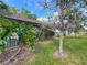 View of the home's exterior with lush greenery, including a striking philodendron, enhancing the landscape's appeal at 2471 Tahoe Cir # 00, Winter Park, FL 32792