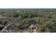 Aerial view of a modern home surrounded by lush greenery, providing a serene and private setting at 435 Lincoln Ave, Oviedo, FL 32766