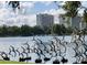 Scenic lake view with art installation featuring bird sculptures in flight, with buildings in background at 530 E Central Blvd # 705, Orlando, FL 32801