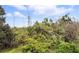 View of the wooded land with a dense mix of trees, palmettos, and lush greenery under a partly cloudy sky at 3780 Woodhurst Ct, Oviedo, FL 32766