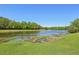 Scenic view of the pond, surrounded by lush greenery, creating a tranquil and serene environment at 1120 Parker Canal Ct, Oviedo, FL 32765