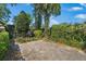 Private patio area surrounded by lush greenery and mature trees, creating a serene outdoor space at 1701 Palmer Ave, Winter Park, FL 32789