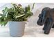 Stylish decor featuring a potted plant and an elephant figure at 17522 Hidden Forest Dr, Clermont, FL 34714